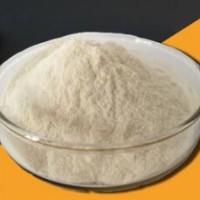 纖維素酶 纖維素酶作用 纖維素酶添加量