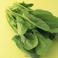 葉綠素銅鈉鹽使用范圍