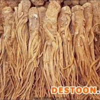 當歸提取物-廠家  當歸浸膏