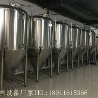 夜市燒烤店小型原漿啤酒設(shè)備廠家供應(yīng)傳授釀酒配方
