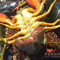 小龍蝦超聲波清洗機(jī)雷士近期推出
