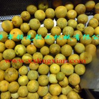 檸檬加工設(shè)備-檸檬磨油機(jī)