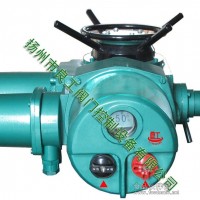 供應(yīng)智能一體化調(diào)節(jié)型電動執(zhí)行機(jī)構(gòu)DZT20-36T
