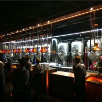 500升小型鮮啤釀造設(shè)備，手工自釀啤酒設(shè)備