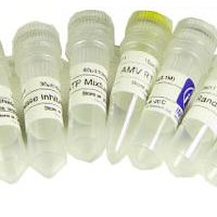 CAS:7722-76-1,磷酸二氫銨,AR