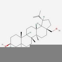 白樺脂醇Betulin 473-98-3  對照品
