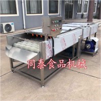大型牡蠣清洗機(jī) 洗海蠣子毛刷機(jī)設(shè)備