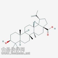 白樺脂酸Betulinic acid  CAS: 472-15-1  對照品