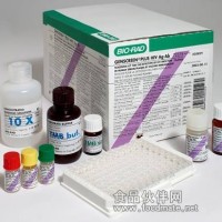 大鼠免疫球蛋白G試劑盒促銷