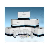 FZ1031 細(xì)菌基因組DNA提取試劑盒Bacterial DNA Isolation Kit(50)