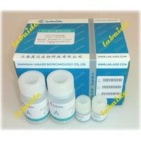 BCA蛋白質(zhì)含量測定試劑盒