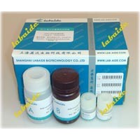 Lowry法蛋白含量測定試劑盒_低濃度型