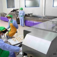DFD全自動(dòng)仿生饅頭生產(chǎn)線