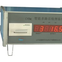 供應(yīng)CYTW-I型溫度記錄主機(jī)