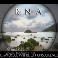 生物薄膜Biofilm RNA提取試劑盒
