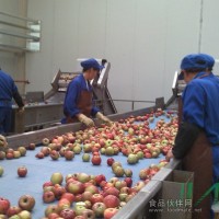 尼龍網(wǎng)帶選果機(jī)/檢果機(jī)