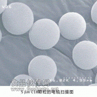 Globalsil色譜填料