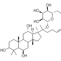人參皂苷F1 HPLC≥80% HPLC≥90% HPLC≥95% g級(jí) 克級(jí) 1g 1克