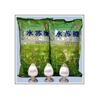 高純度水蘇糖