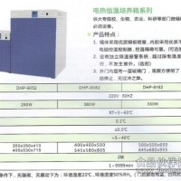 電熱恒溫培養(yǎng)箱 孵化/培養(yǎng)箱