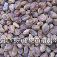 供應(yīng)甜杏干