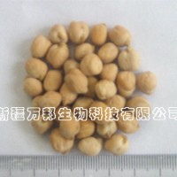 供應(yīng)鷹嘴豆