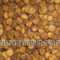 供應(yīng)無花果