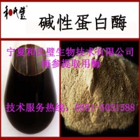 食品級堿性蛋白酶制劑20萬活力
