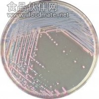 金黃色葡萄球菌檢驗用培養(yǎng)基（GB4789.10-2010）