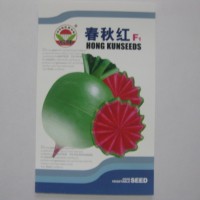 廠家供應優(yōu)質雜交水果蘿卜種子“春秋紅F1”