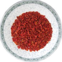 AD 脫水番茄片 5×5mm