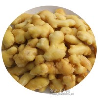廠家供應(yīng)泡黃姜散裝包裝小黃姜