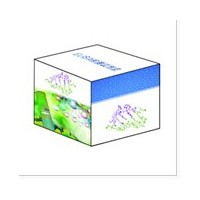 小鼠C-型鈉尿肽ELISA試劑盒