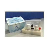 小鼠CD30配體ELISA試劑盒