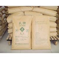 乳糖廠家、乳糖生產(chǎn)廠家、乳糖生產(chǎn)工廠