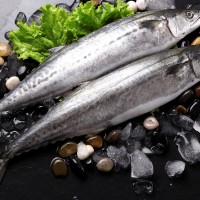 馬鮫魚(yú)檢測(cè)報(bào)告,馬鮫魚(yú)抗生素檢測(cè)機(jī)構(gòu),馬鮫魚(yú)營(yíng)養(yǎng)檢測(cè)項(xiàng)目