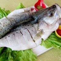 鳙魚(yú)檢測(cè)機(jī)構(gòu),鳙魚(yú)抗生素檢測(cè)報(bào)告,鳙魚(yú)微生物檢測(cè)