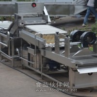 鮮大棗清洗機，紅棗清洗機，大棗清洗機廠家