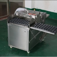 蔬菜穴盤(pán)育苗播種機(jī)
