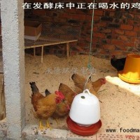 發(fā)酵床養(yǎng)殖菌種