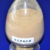 百惠生物專業(yè)提供，肥菌種，肥發(fā)酵菌種，秸稈發(fā)酵菌種，微生物菌種及技術(shù)服務