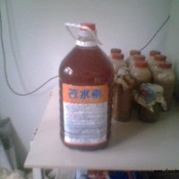 BM光合細菌
