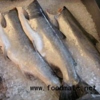 智利大西洋三文魚(yú)ATLANTIC