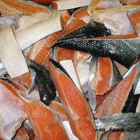 智利銀鮭三文魚(yú)
