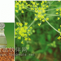 供應(yīng)茴香油