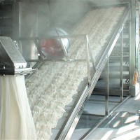 米排粉生產(chǎn)線_大型米排粉機生產(chǎn)線_自動化米排粉生產(chǎn)線
