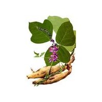 現(xiàn)貨供應(yīng)葛根提取物