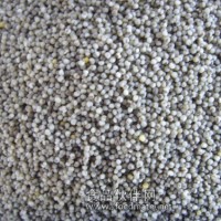 黑小米黑小米種植黑小米價(jià)格