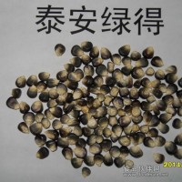 農(nóng)業(yè)黑玉米富硒黑玉米