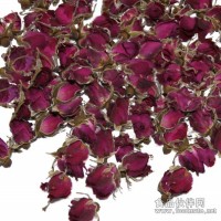 招商 代理
